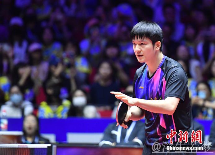 樊振东双胜助力 上海地产集团击败黄石基地·华新 樊振东双胜助力 上海地产集团击败黄石基地·华新